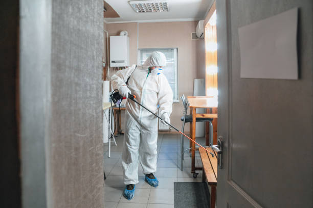 Best Post-Construction Mold Inspection  in San Fernando, CA