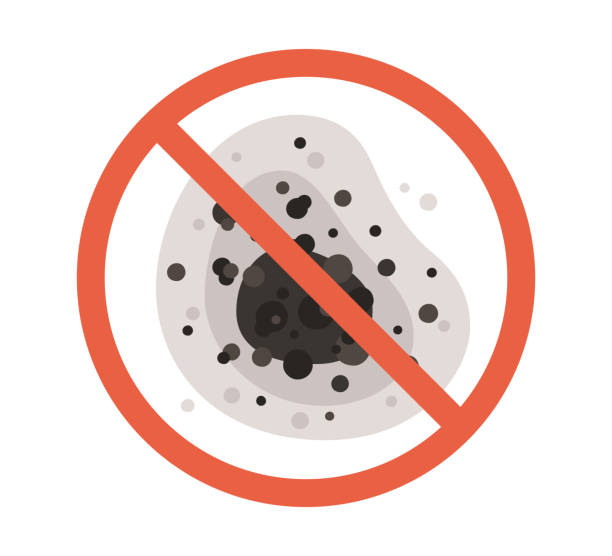 Best Basement Mold Removal  in San Fernando, CA