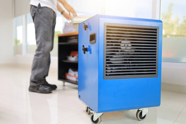 Forensic Mold Investigation in San Fernando, CA
